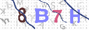 キャプチャ画像