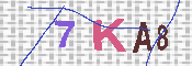 キャプチャ画像