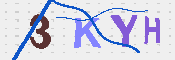 キャプチャ画像
