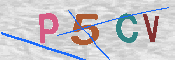 キャプチャ画像