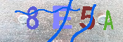 キャプチャ画像