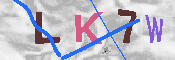 キャプチャ画像