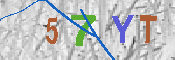 キャプチャ画像