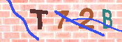 キャプチャ画像