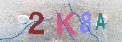 キャプチャ画像