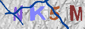 キャプチャ画像