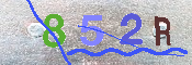 キャプチャ画像