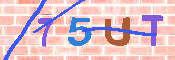 キャプチャ画像