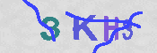 キャプチャ画像