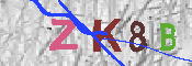 キャプチャ画像