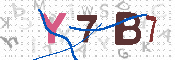 キャプチャ画像