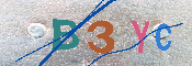 キャプチャ画像