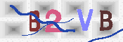 キャプチャ画像