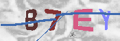キャプチャ画像