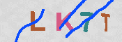 キャプチャ画像