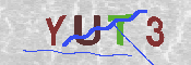 キャプチャ画像