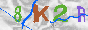 キャプチャ画像
