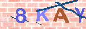 キャプチャ画像