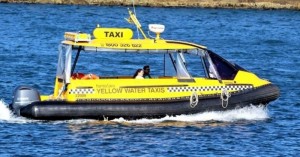 water-taxi_61c5b2013d82c