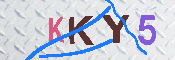 キャプチャ画像