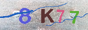 キャプチャ画像