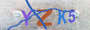 キャプチャ画像