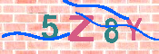 キャプチャ画像