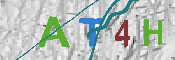 キャプチャ画像