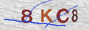 キャプチャ画像