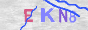 キャプチャ画像
