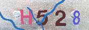 キャプチャ画像
