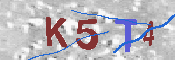 キャプチャ画像