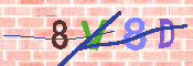 キャプチャ画像