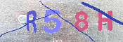 キャプチャ画像