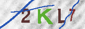 キャプチャ画像