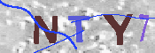 キャプチャ画像