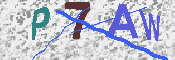 キャプチャ画像