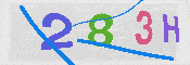 キャプチャ画像