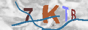 キャプチャ画像