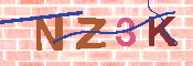 キャプチャ画像
