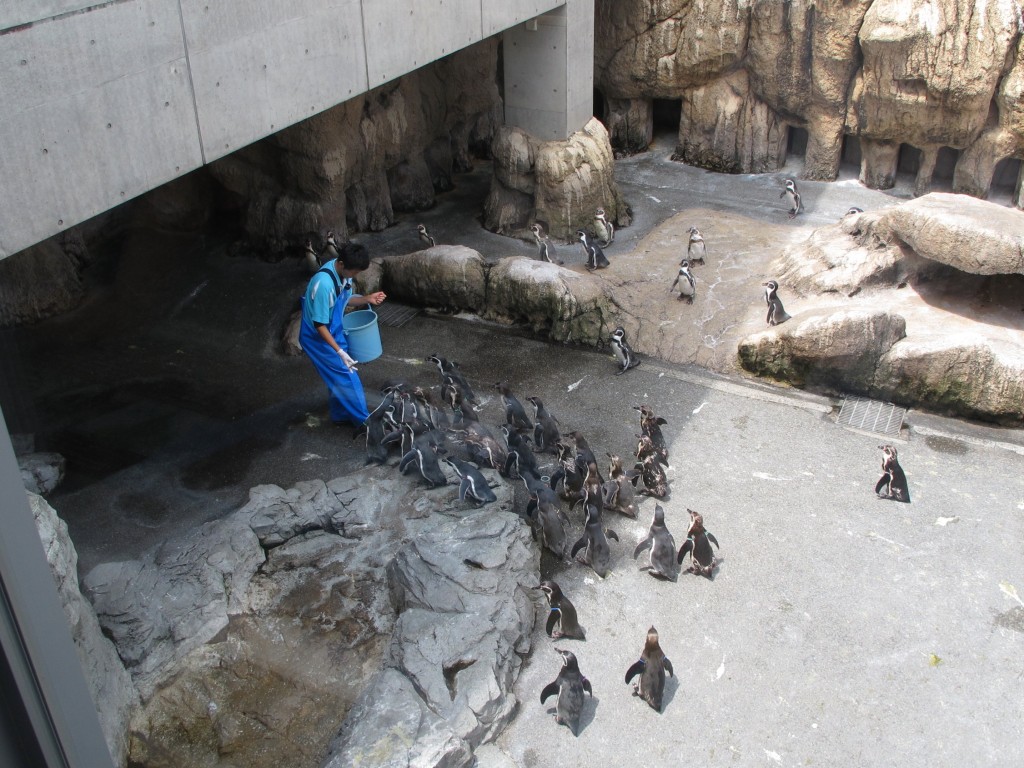 051.jpg-1