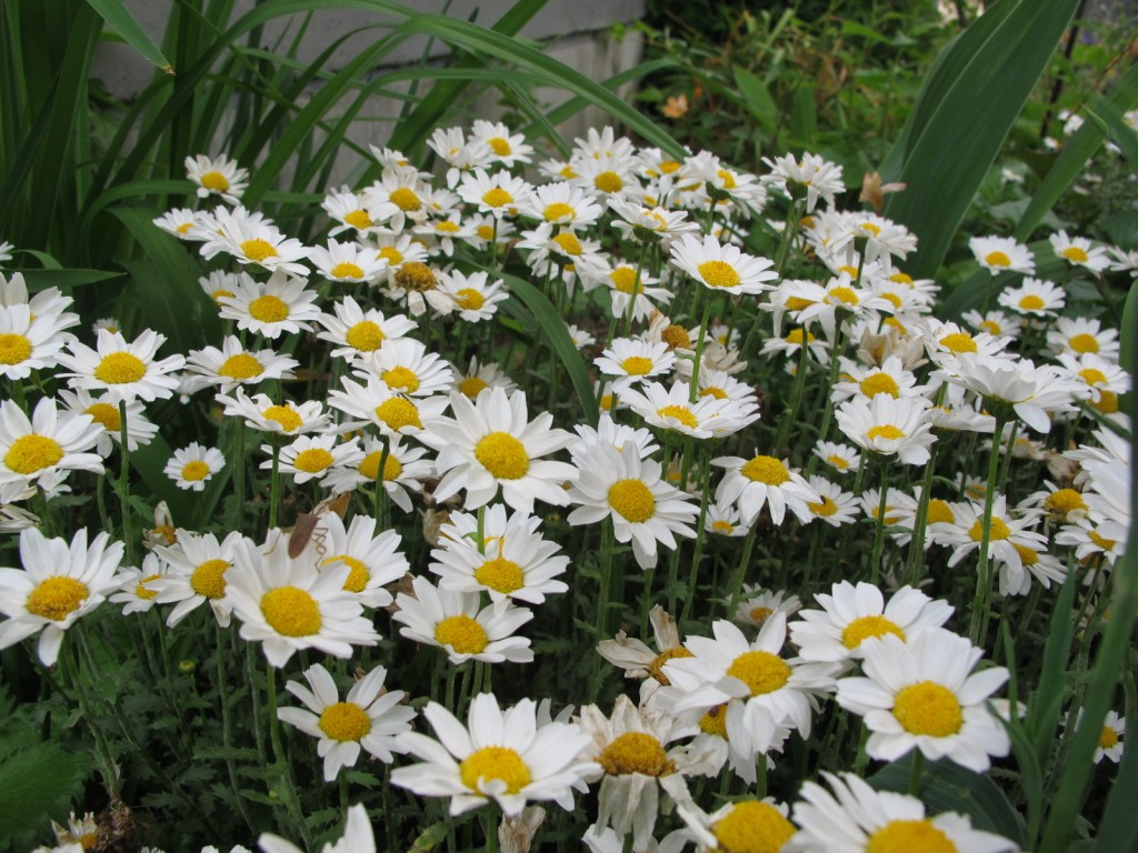 031