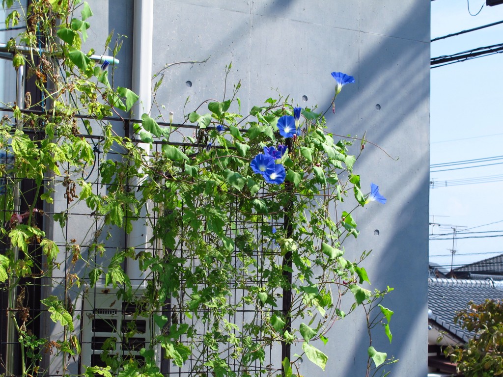 004.jpg-1