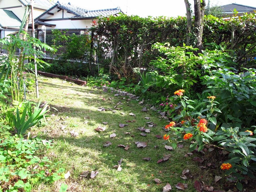 002.jpg-1