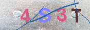 キャプチャ画像