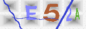 キャプチャ画像