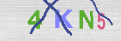 キャプチャ画像