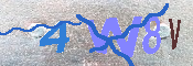 キャプチャ画像