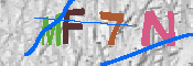 キャプチャ画像