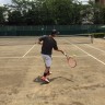 Shino Tennis Solution